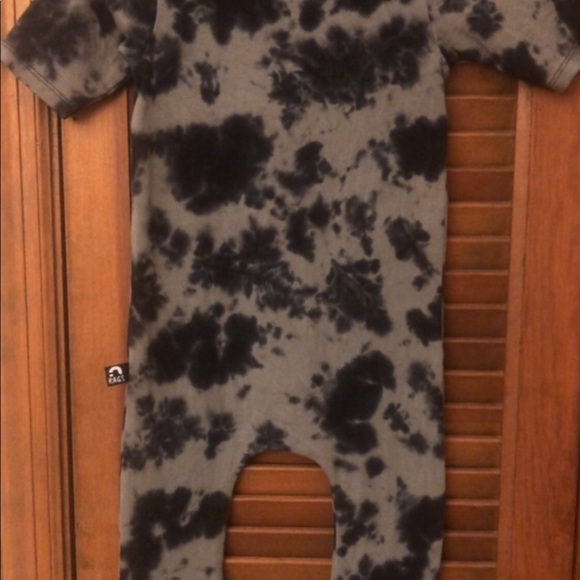 Pumpkins - Picture 2 of 3